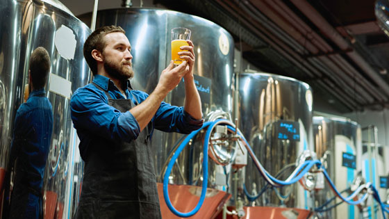 Man inspecting beer in a brewery
